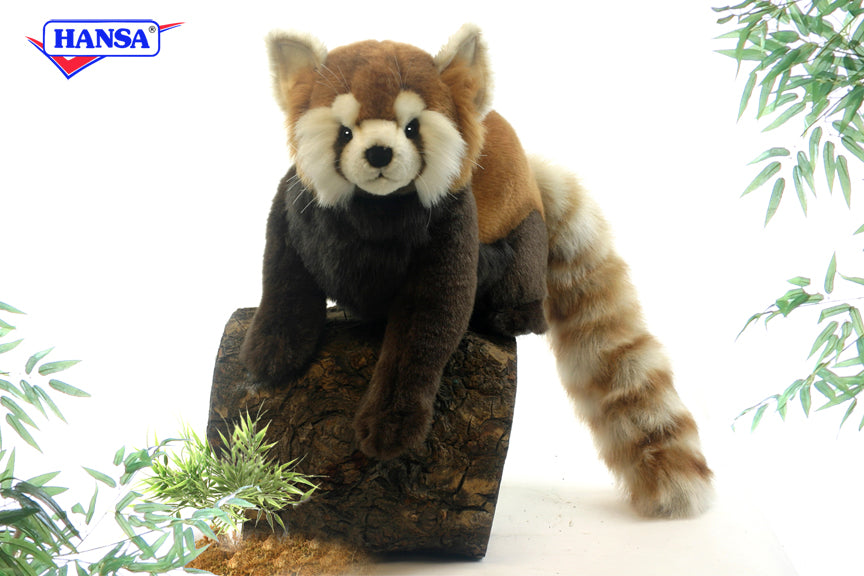 Red Panda 75 cm