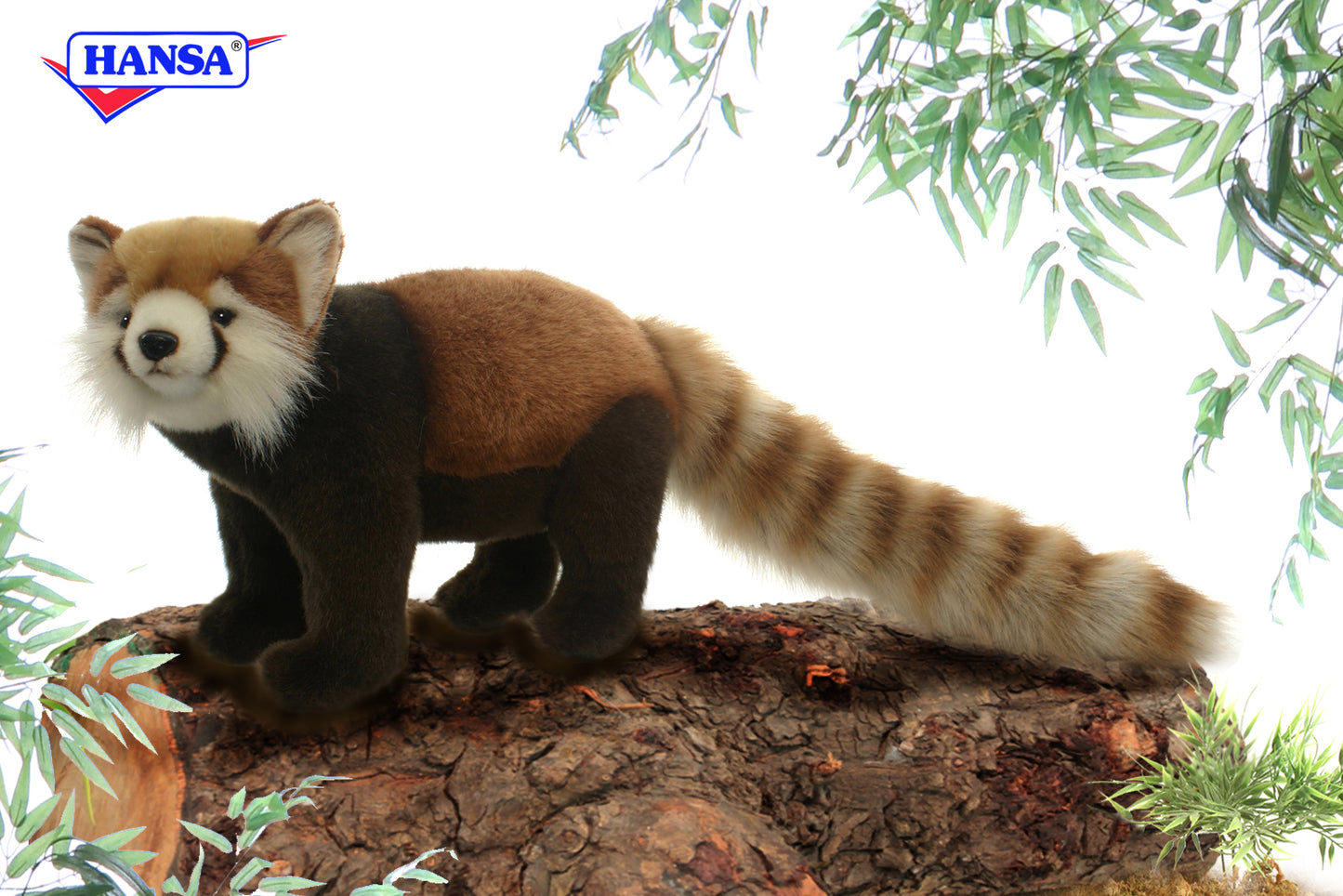 Standing Red Panda