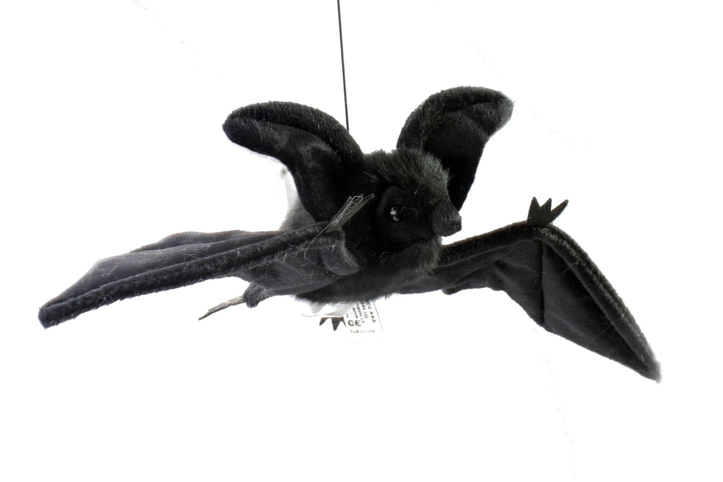 Hanging Black Bat