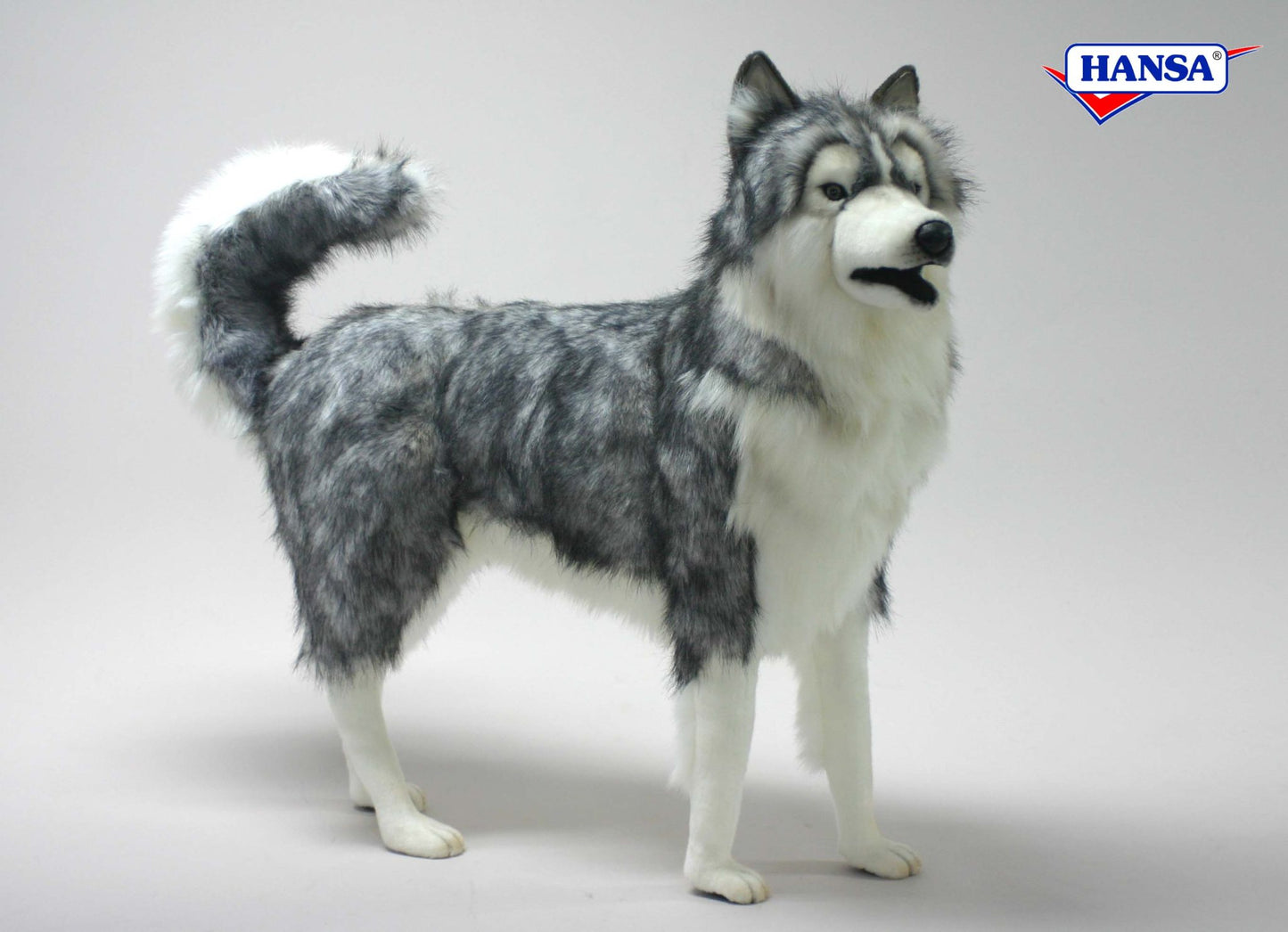 Husky Gray 115 cm