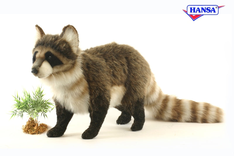 Standing Raccoon 45 cm