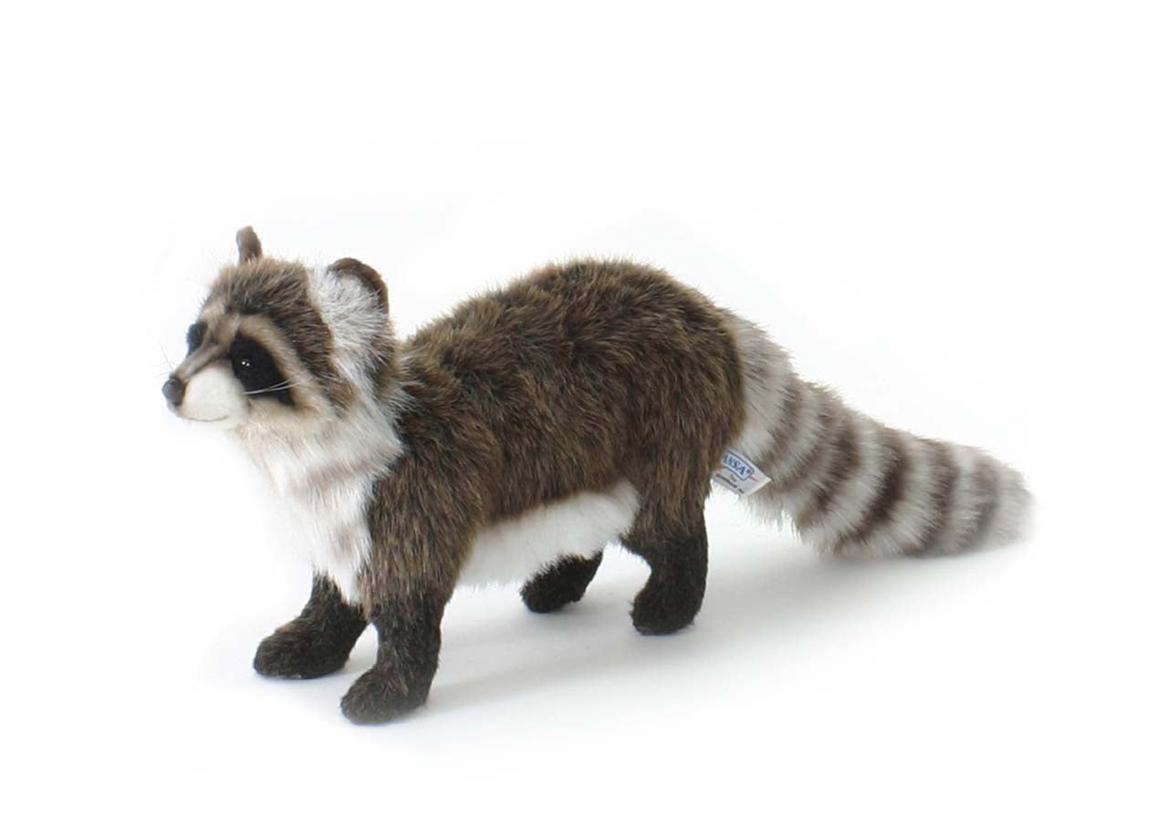 Standing Raccoon 35 cm