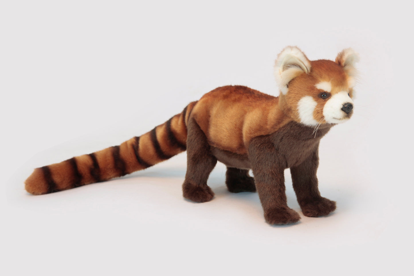 Standing Red Panda 67 cm