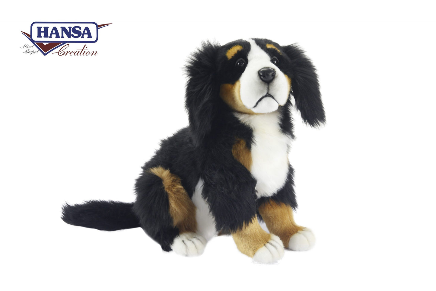 Bernese Mountain Dog Pup 56 cm