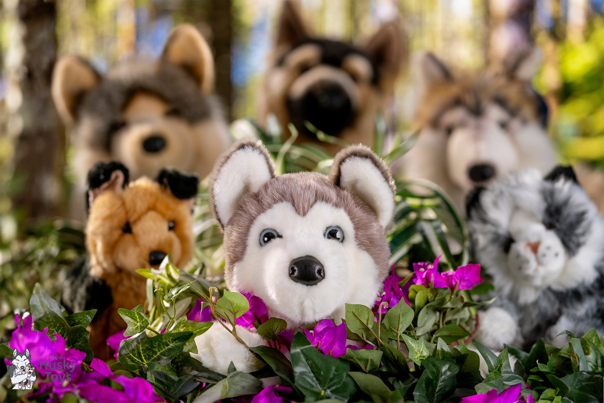 Toy husky clearance price