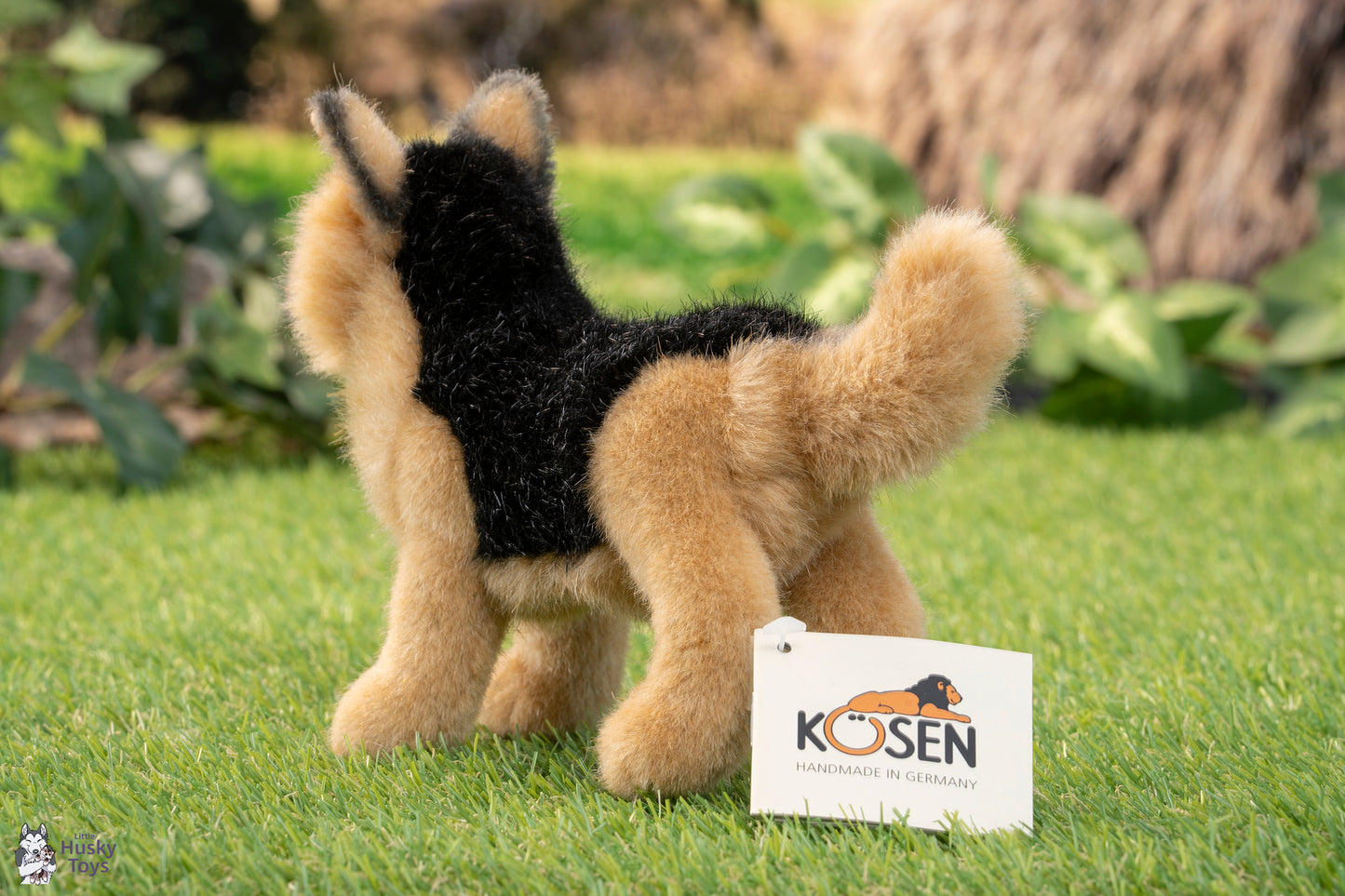 Kösen German Shepherd Puppy