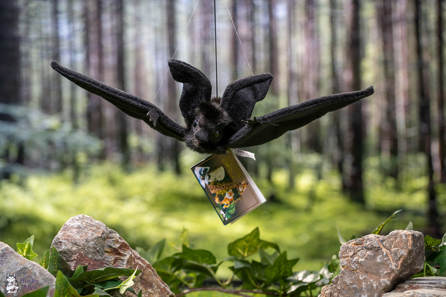 Hanging Black Bat