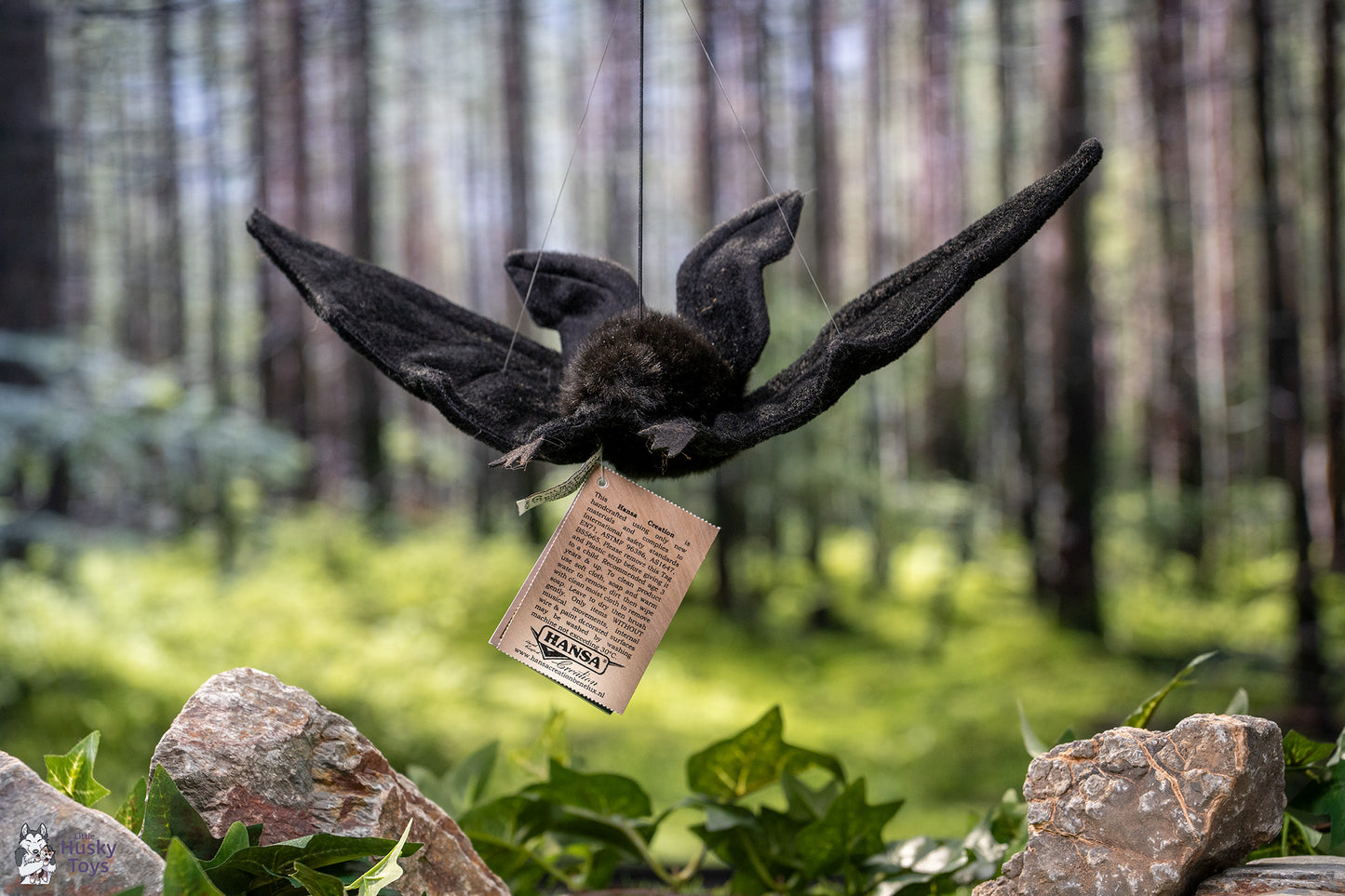 Hanging Black Bat