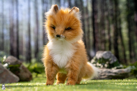 Standing Fox Pup