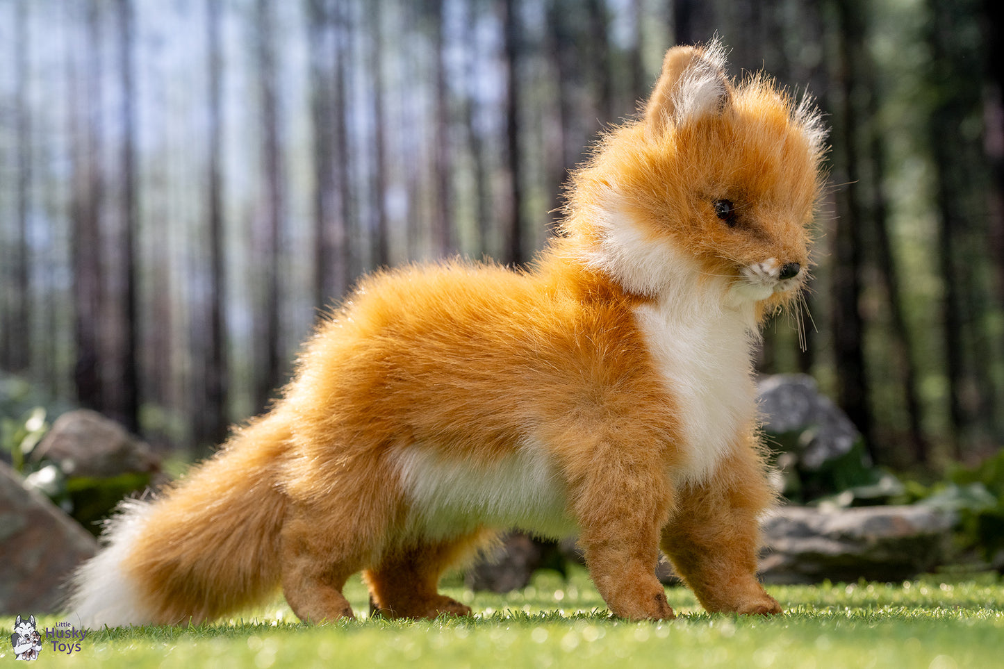 Standing Fox Pup