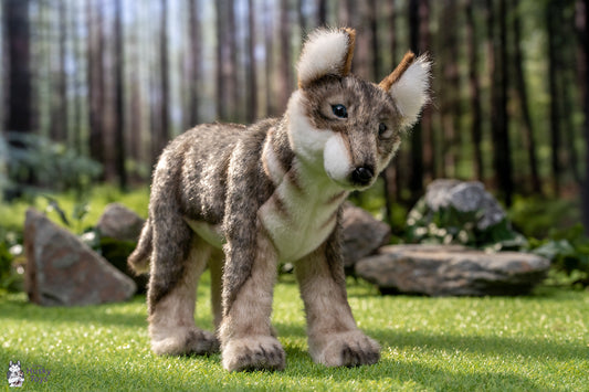 Standing Wolf Pup