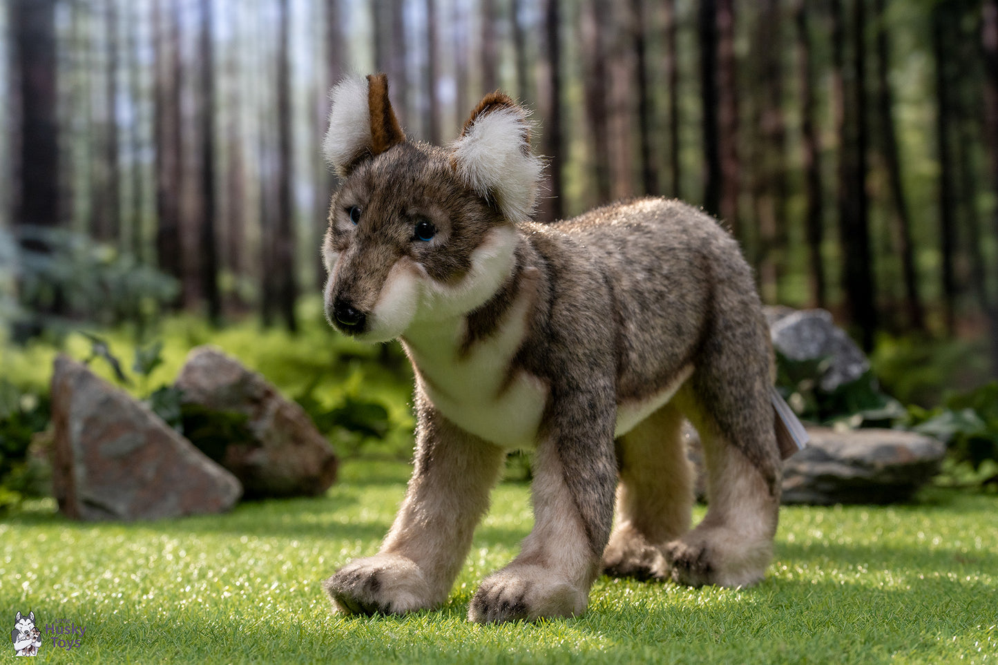 Standing Wolf Pup