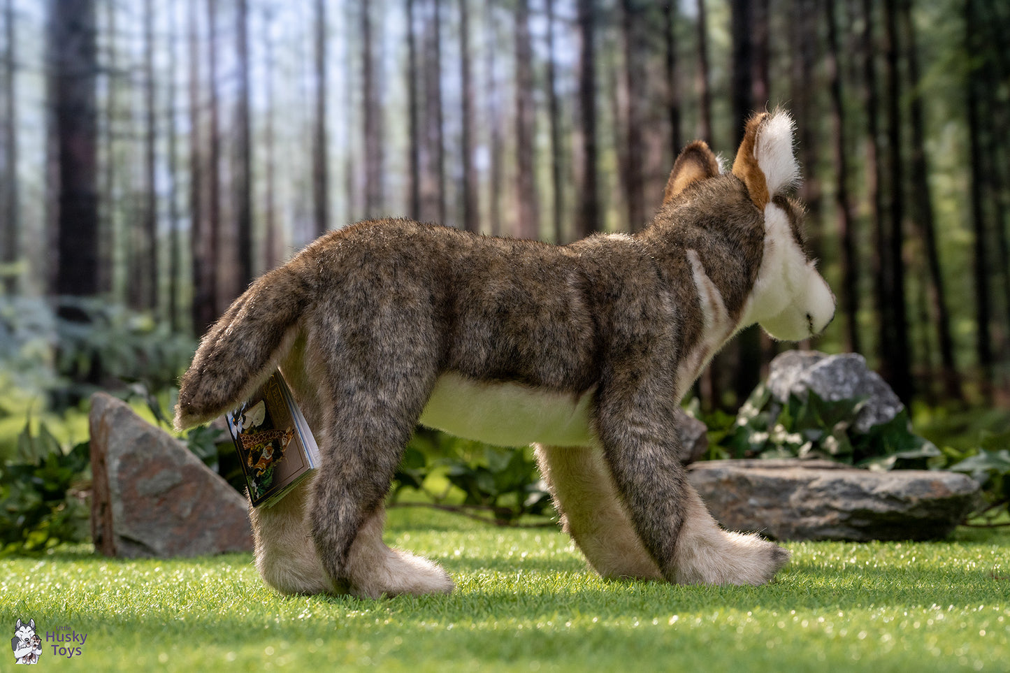 Standing Wolf Pup