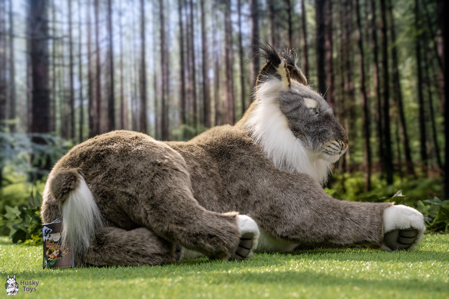 Laying Lynx 70 cm