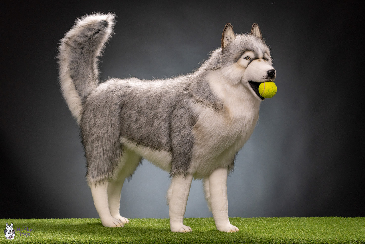 Husky Gray 115 cm