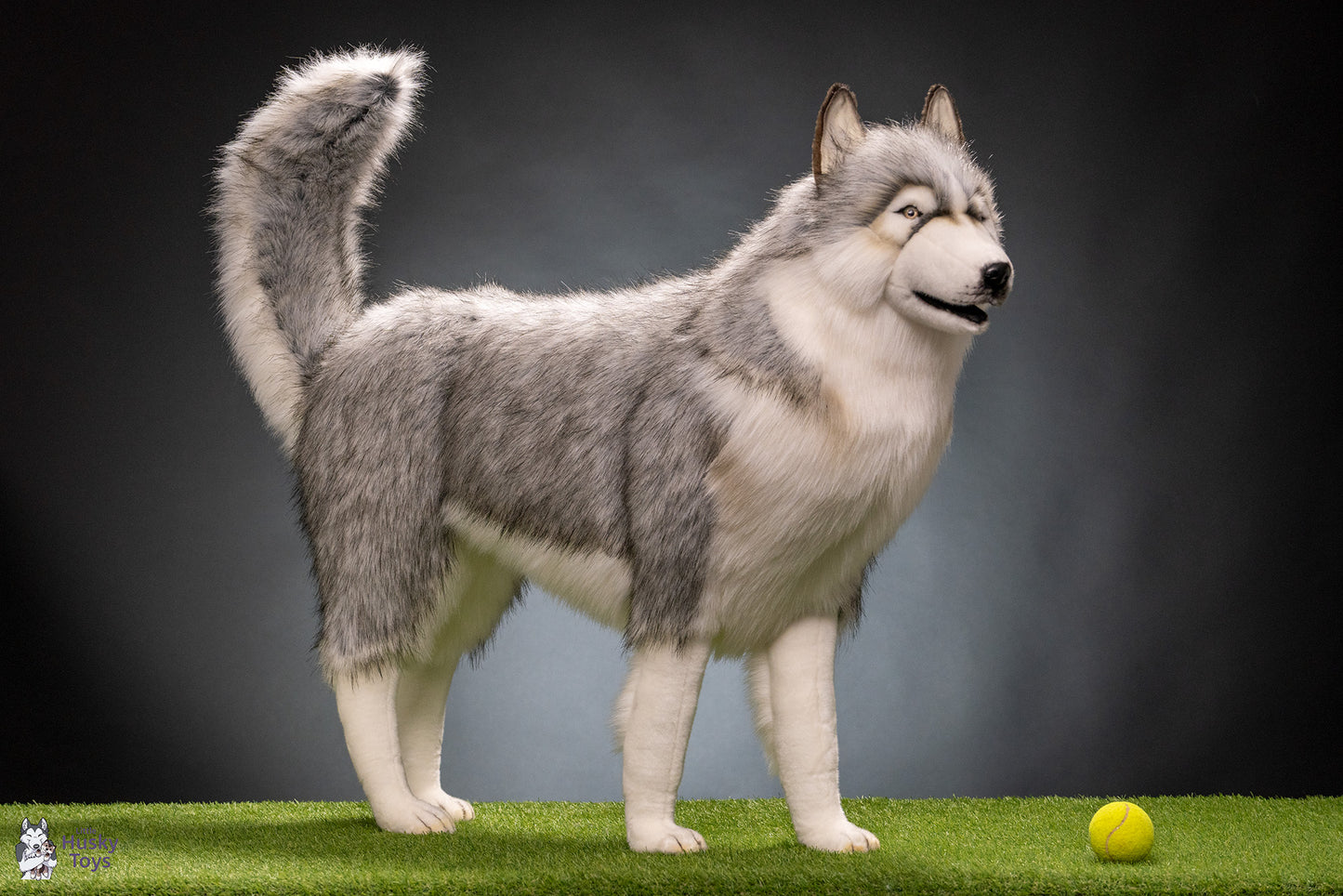 Husky Gray 115 cm