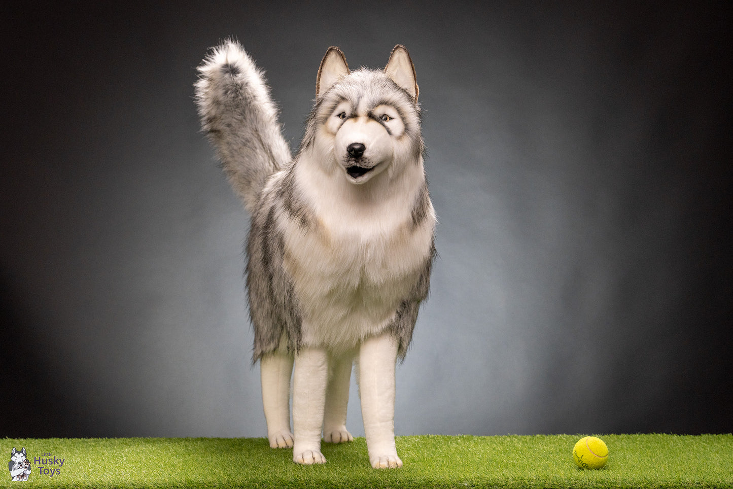 Husky Gray 115 cm