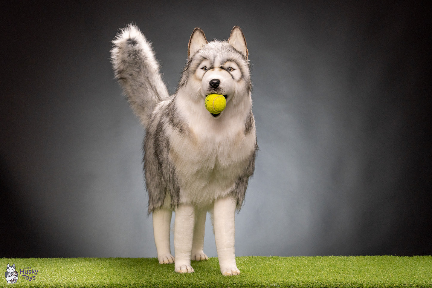 Husky Gray 115 cm