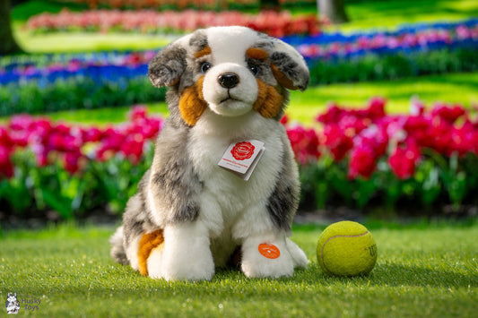 Hermann Teddy Australian Shepherd sitting 30 cm