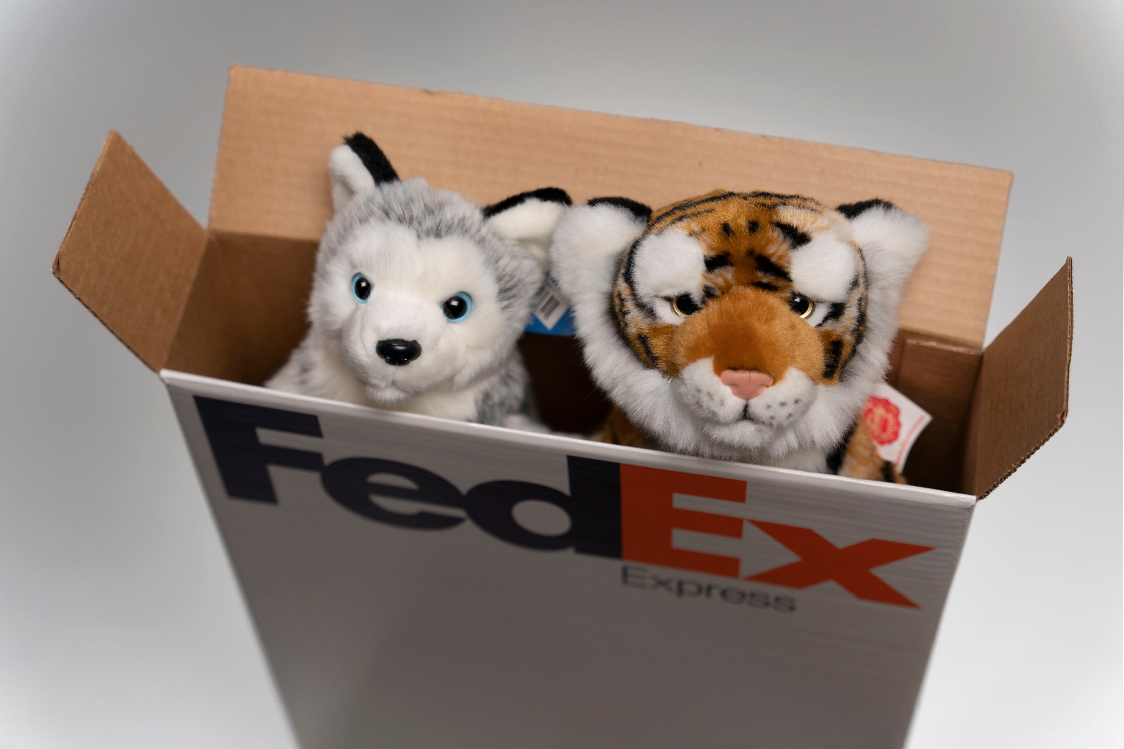 Two small plush peaking out of a FedEx box