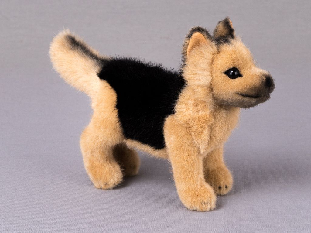 Kösen German Shepherd Puppy