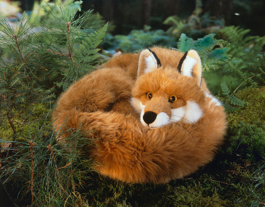 Kösen Lying Fox