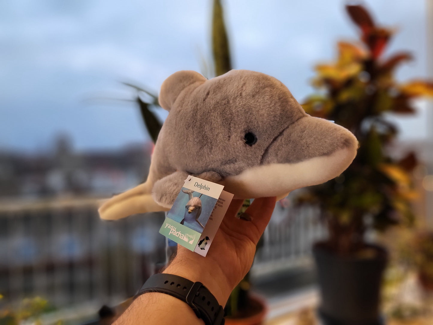 Hermann Teddy Dolphin