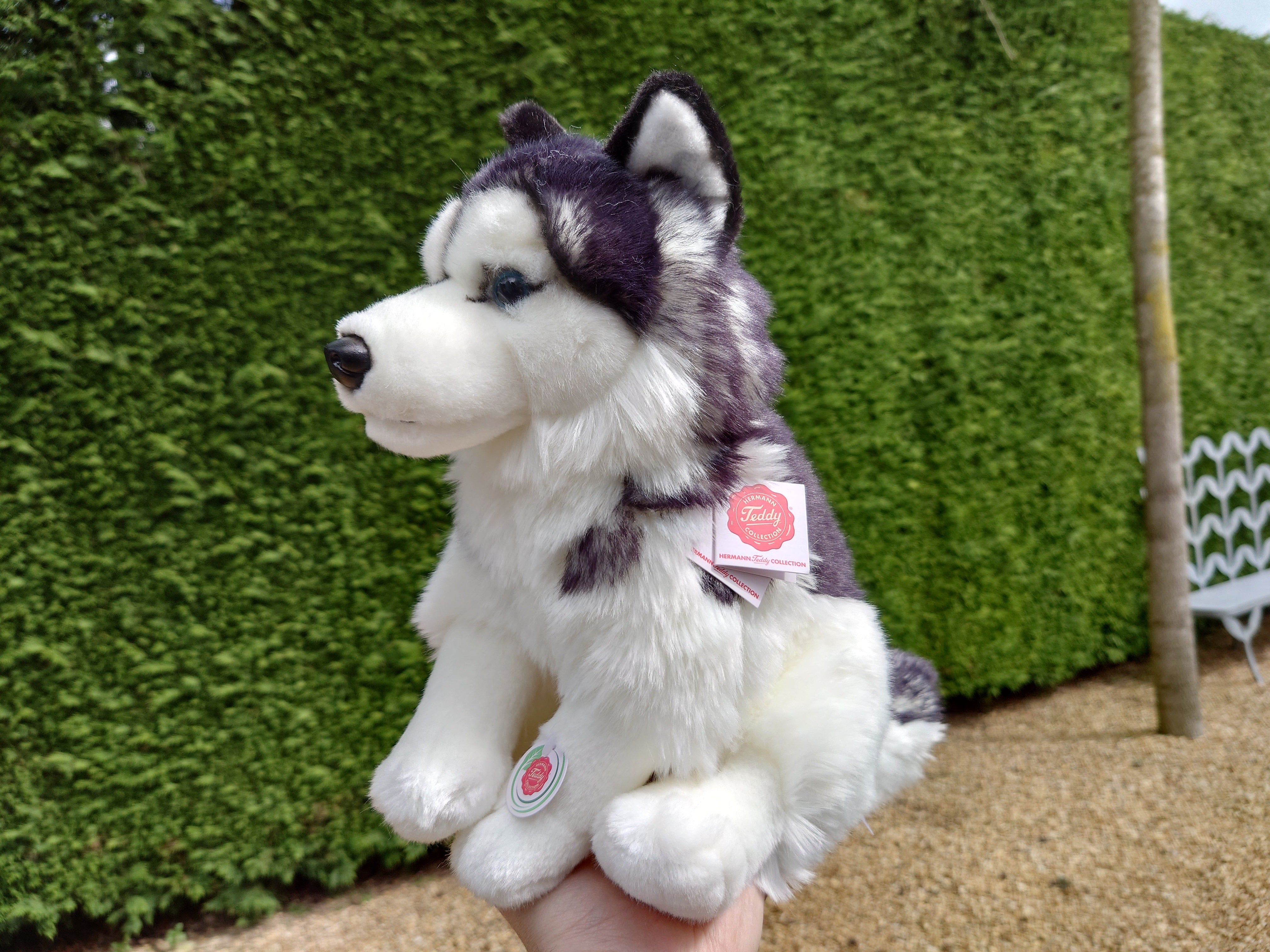 Hermann Teddy Sitting Husky 30cm Little Husky Toys