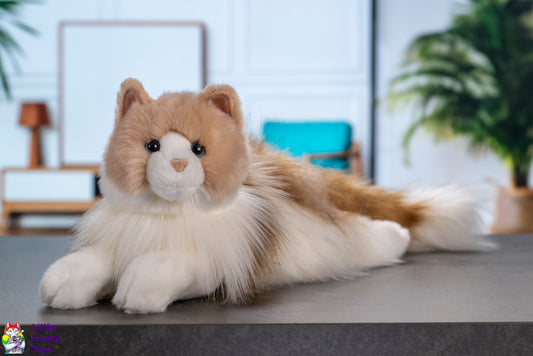 Douglas Cuddle Toys Kiki Ragdoll Cat